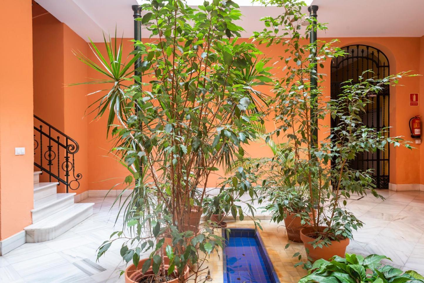 Alohamundi Campana Ii Apartment *